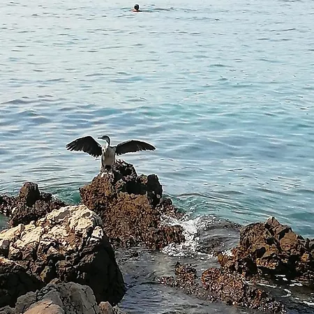 בית הארחה - Centar