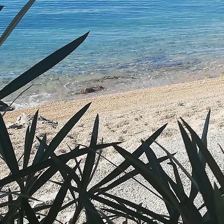 - Centar Πανσιόν 3*