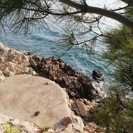 Πανσιόν - Centar